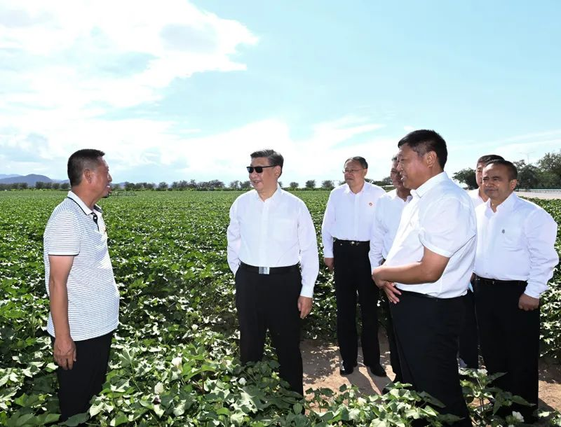 1658112141982046865.png 图片10.png