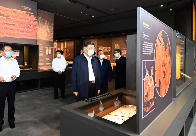 1658112192845028011.png 图片16.png