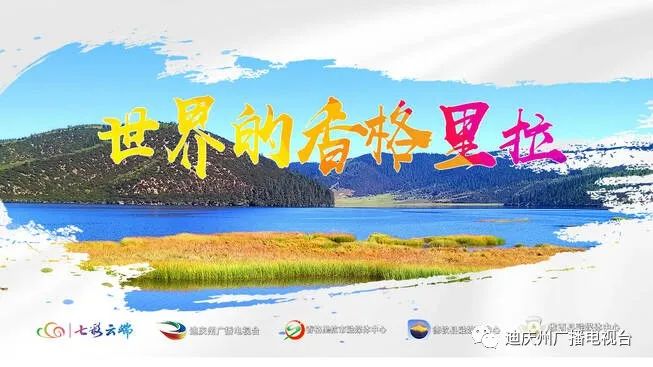 1664459346967046190.jpg 1.jpg