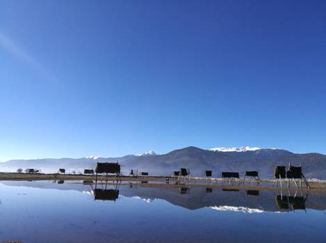 3彭映昌—雪域蓝韵