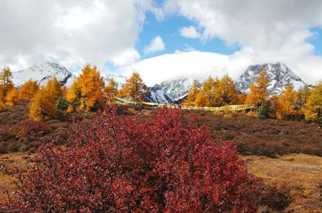 2肖红梅—高原之秋